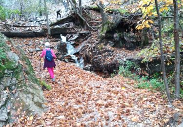 Excursión Senderismo Ventalon en Cévennes - col de hauts de St privât. - Photo