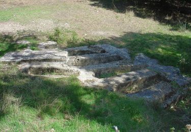 Tour Zu Fuß Ganagobie - La Forêt du Prieuré - Photo