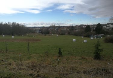 Tocht Wegfiets Luik - Vélo de Grivegnée à Vaux - Photo