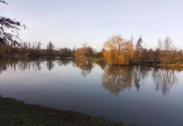 Randonnée Marche Allennes-les-Marais - Allennes les Marais Don - Photo