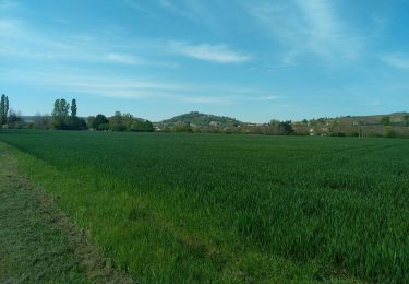 Percorso Marcia Bannay - Cosne sur Loire - Photo