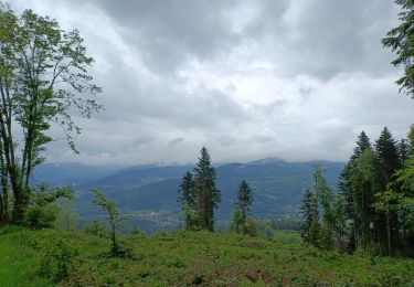 Randonnée Marche Thiéfosse - circuit col de xiard chalet de la vrille par tourbière  - Photo