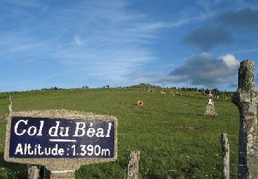 Tocht Stappen Saint-Pierre-la-Bourlhonne - 2022-06-13_09h19m59_LE COL DU BEAL - Photo