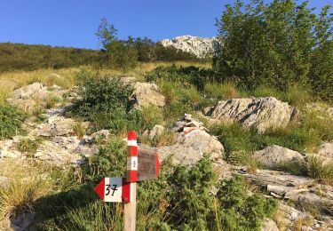 Percorso A piedi Vagli Sotto - Garfagnana Trekking - Tappa 4 - Photo