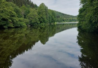 Tour Wandern Philippsburg - Le Rothenbourg - Photo