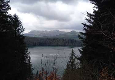 Trail Walking Besse-et-Saint-Anastaise - Lac Pavin 8.5.24 - Photo