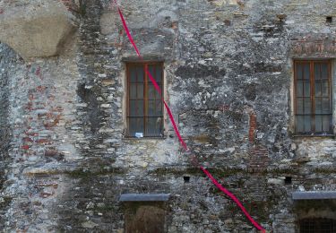 Percorso A piedi Rapallo - Rapallo - Santuario di Montallegro - Photo