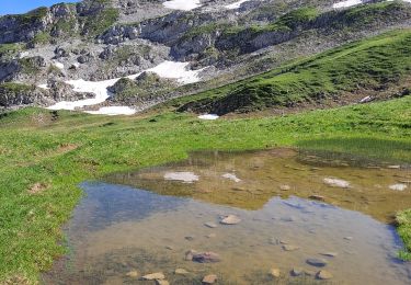 Tour Wandern Le Reposoir - Lac peyre partiel - Photo