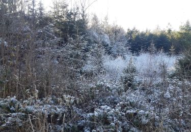 Tocht Stappen Theux - autour du bois de la porallée - Photo