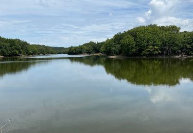 Trail Walking Saint-Vincent-sur-Graon - Lac du Graon - Photo