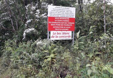 Tour Wandern Les Trois-Îlets - pagerie en boucle - Photo