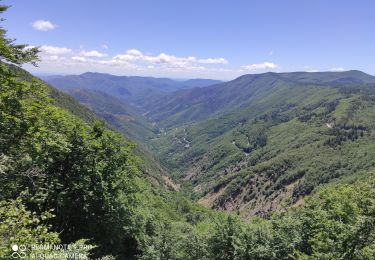 Tour Rennrad Meyrueis - Meyrueis - Aigoual - Photo