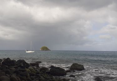 Percorso Marcia Le Prêcheur - Anse couleuvre Grand Rivière  - Photo