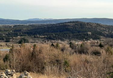 Randonnée Marche La Chaux-du-Dombief - Chaux du Dombief - sentier des cairns 20221219 - Photo