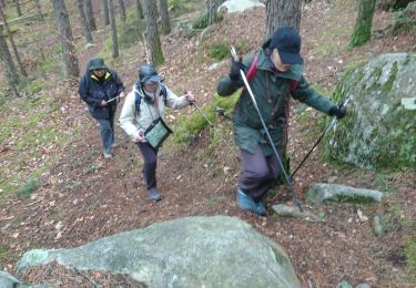 Trail Walking Fontainebleau - carrefour de Vienne 10 mars 2023  - Photo