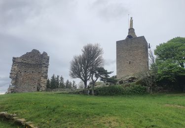 Tocht Stappen Langogne - 09-05-2023 E4 Langogne - Luc - Photo