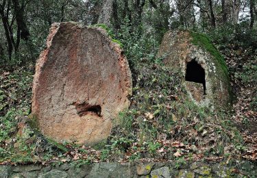 Percorso A piedi Sant Celoni - SL-C 110 Vallgorguna-Olzinelles - Photo