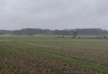 Trail Walking Tielt-Winge - Rondje Houwaart  - Photo