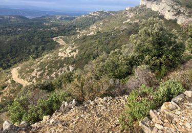Trail Trail Cheval-Blanc - Valloncourt-Mayorques-Buisses (20K 720D+) - Photo