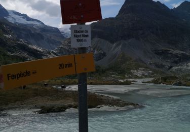 Excursión Marcha nórdica Evolène - glacier Miné  - Photo