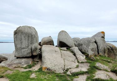 Tocht Stappen Trédrez-Locquémeau - Bretagne nord J7 / De Locquémeau à Lannion - Photo