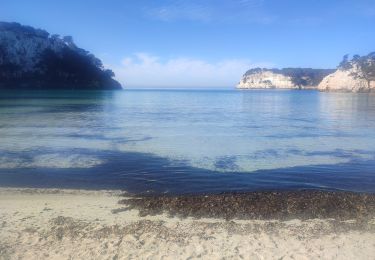 Percorso Marcia Ferreries - Cala Galdana – Son Xoriguer - Photo