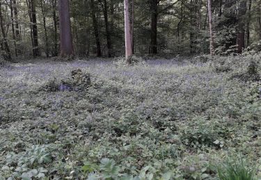 Tour Wandern Thuin - Ragnies  - Photo