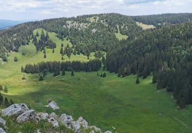 Tour Wandern Les Rousses - 2020-07-12_16h23m17_2 PED - MONTS & COMTE Les Rousse - Chalet de la Dole par La Cure - Photo