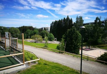 Tour Zu Fuß Unbekannt - Saupstadrunden - Photo