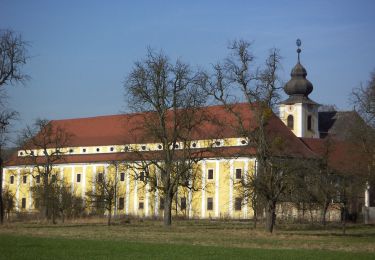 Tocht Te voet Steyregg - Donau-Höhen-Rundwanderweg - Photo