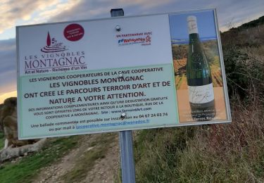 Trail Walking Montagnac - MONTAGNAC 34 . Le parcours d art et de nature o  - Photo