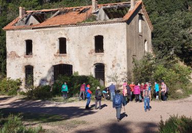 Randonnée Marche Saint-Raphaël - La Baïsse des Charretiers - Photo