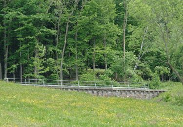 Tocht Te voet Gemeinde St. Georgen an der Leys - Sonnbergrunde - Photo