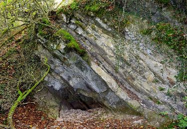 Excursión Senderismo Hotton - -9- Fond des Trottes - Photo