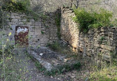 Randonnée Marche Vernègues - PF-Vernègues - Boucle dans le passé antique de Vernègues - Photo