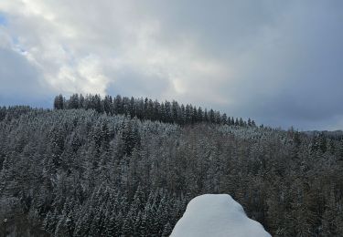 Percorso Marcia Monschau - A la découverte de Montjoie 🥾 - Photo