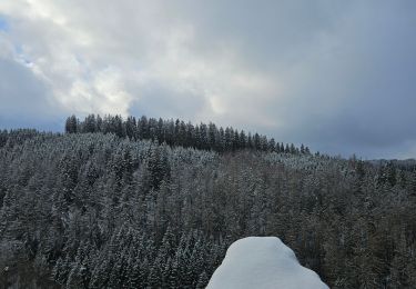 Tocht Stappen Monschau - A la découverte de Montjoie 🥾 - Photo