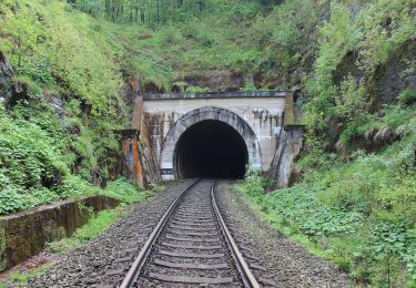 Percorso A piedi Hejnice - NS Viničná cesta - Photo