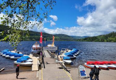 Trail Walking Hinterzarten - Hinterzarten - Titisee - Photo