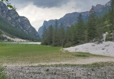 Trail Walking Toblach - Dobbiaco - lac de landro - Photo