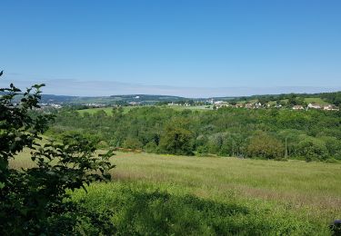 Trail Walking Château-Thierry - Château-Thierry du 06-06-2021 - Photo