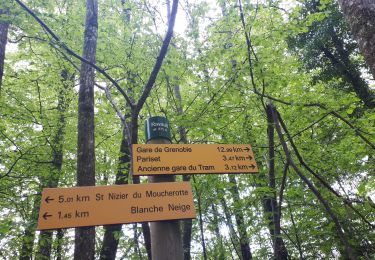 Trail Nordic walking Seyssins - Voie du tram en circuit partiel - Photo