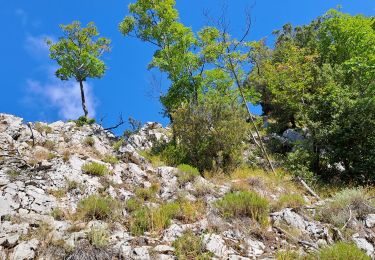 Trail Walking Bagni di Lucca - Aller-retour Vico Pancellorum - Schiena d'Asino - Photo