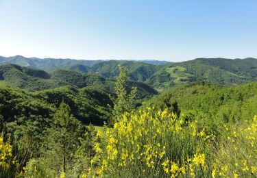 Trail On foot Castel del Rio - IT-707 - Photo