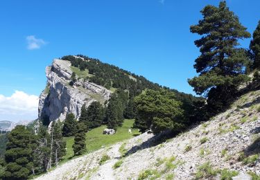 Tocht Stappen Romeyer - Dieois - Rochers de plautret - Jul20 - Photo