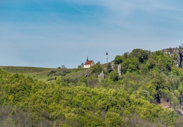 Trail On foot Leutenbach - Ehrenbachtalweg - Photo