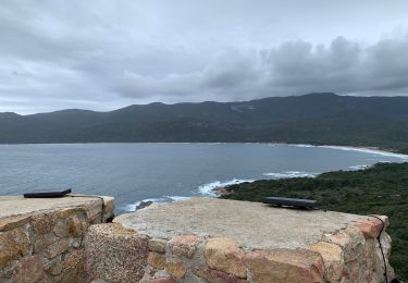 Randonnée Marche Serra-di-Ferro - Porto Pollo, tour de Capanella, plage de Cupabia, retour par Serra si Fer - Photo