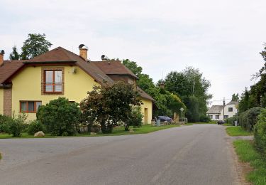 Tour Zu Fuß Ober Böhmisch Rothwasser - [M] Lanškroun - Mariánská hora - Photo