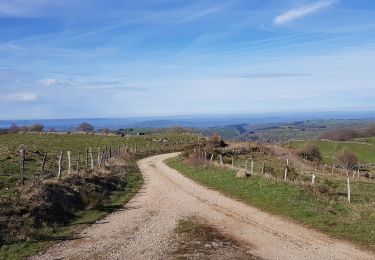 Randonnée Marche Saint-Chély-d'Aubrac - Aubrac st Come d'olt st Jacques  - Photo