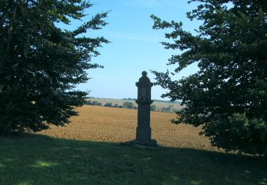 Tour Zu Fuß Fernelmont - Balade du Chant d'Oiseau - Photo